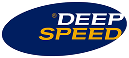 https://www.deepspeed.it/